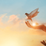 pomoč v stiski zate